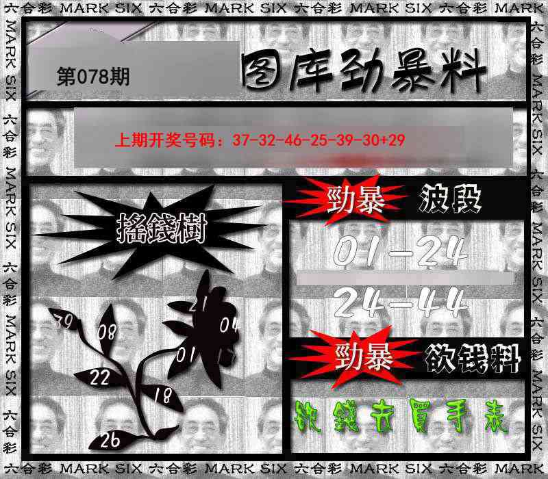 078期劲暴来料[图]