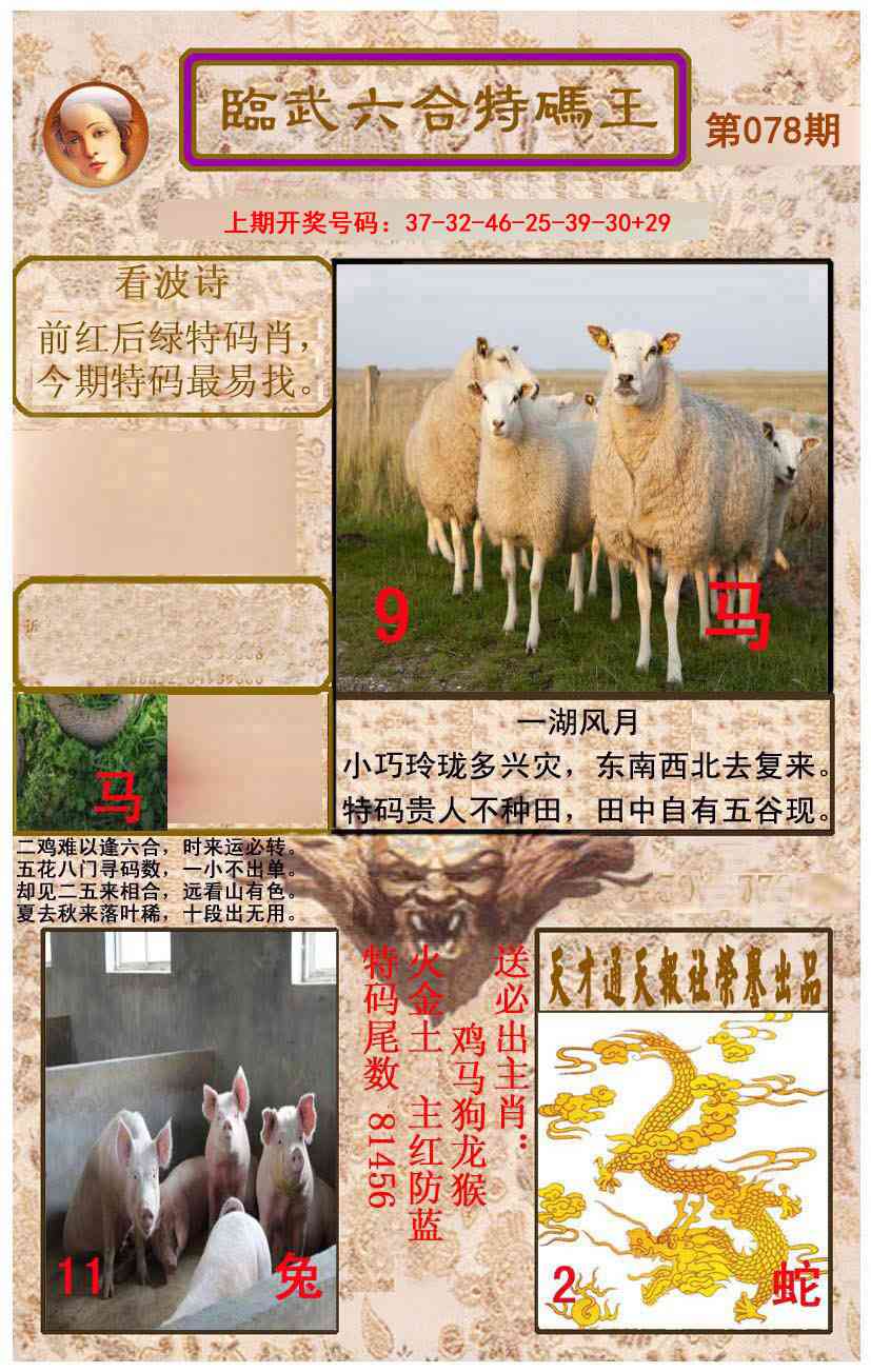 078期临武六合特码王[图]