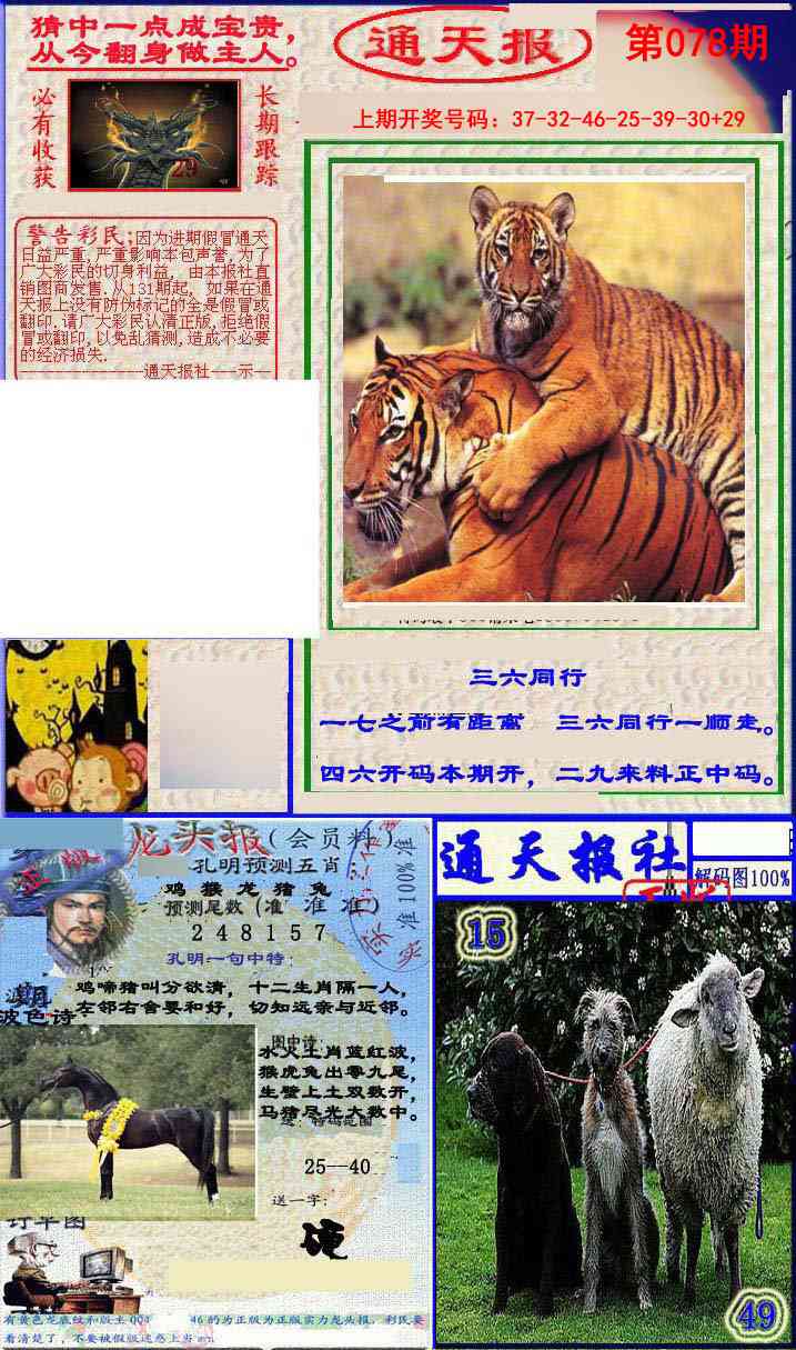 078期实力通天报[图]